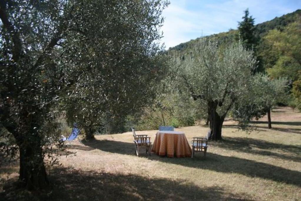 Podere Gli Oppi Toscana Villa Petroio Екстериор снимка
